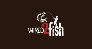 Wired2fish