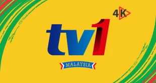 RTM TV1